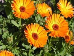 ��������� � ������ ������