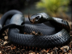 5 ����� �������� ���� � ����