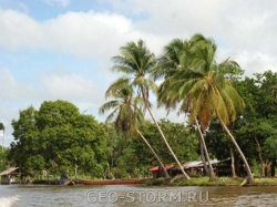 ������ ������� �������