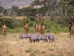 ������������ ���� ��������� � �������� � ������� ����� �������